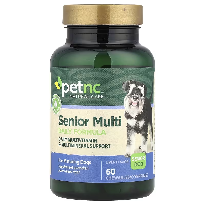Your Dog's Gut Microbiome Is Aging Faster Than You Think | DogAgeTool Blog