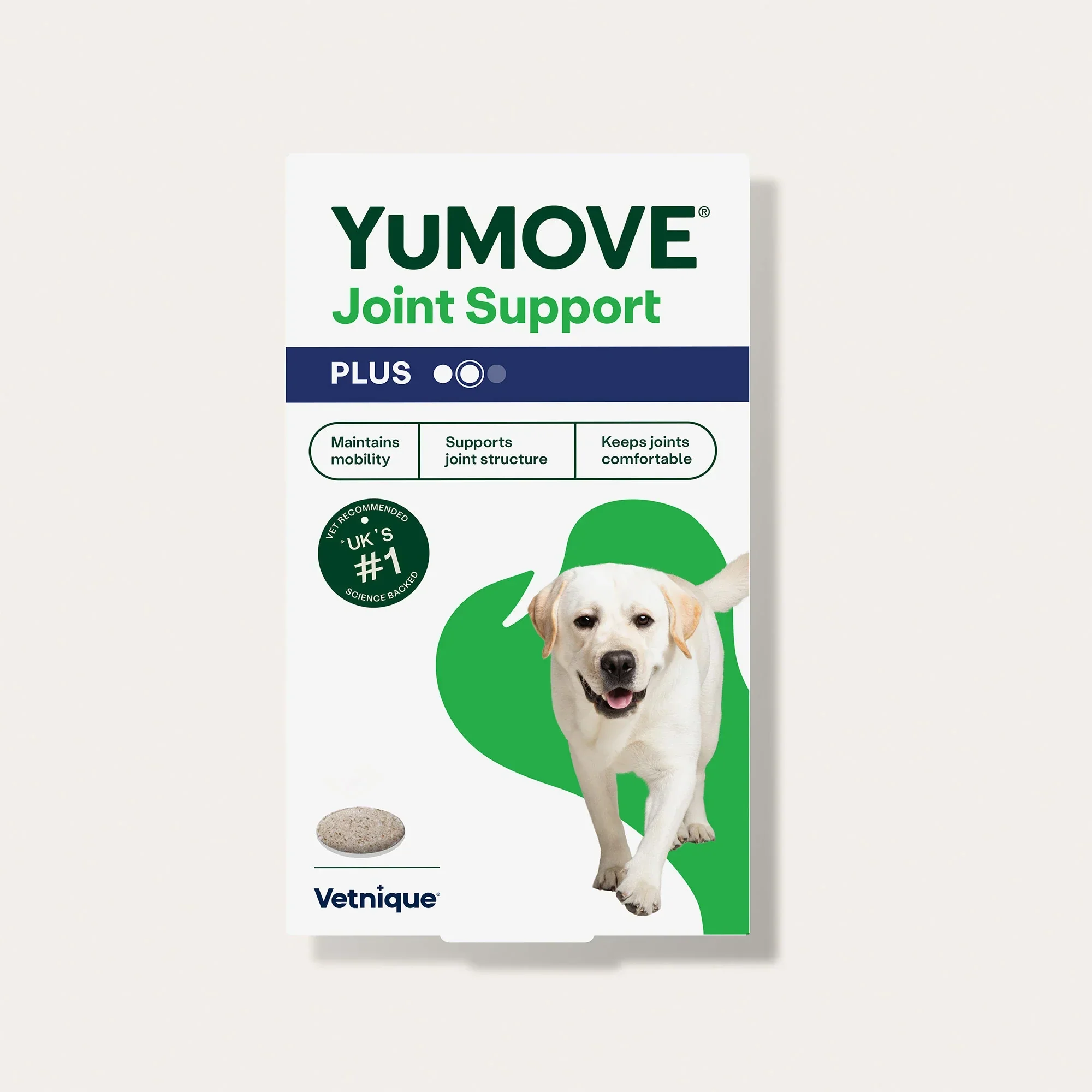 Fish Oil, Glucosamine, or CBD: What Actually Works for Dog Joints? | DogAgeTool Blog