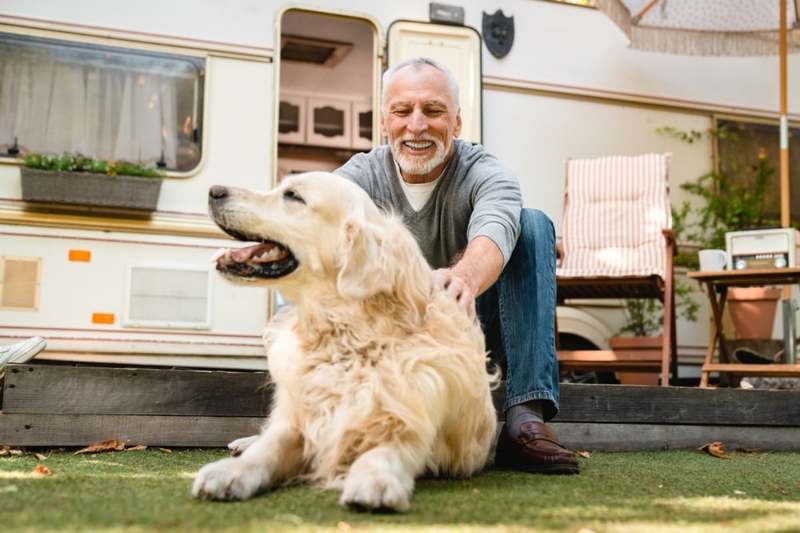 Senior Dog Care: A Practical Guide for Real People
