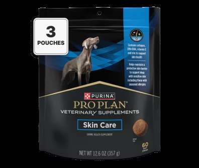 The Supplements My Vet Actually Recommends for Senior Dogs